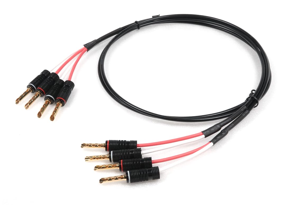 Amazon.co.jp: ONKODO 2804 NEGLEX Hi-Fi リン青銅製 金メッキ バナナ